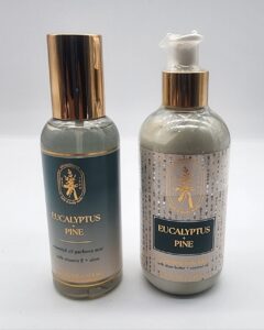 Eucalyptus + Pine - Aromatherapy - 2 Pcs Set | Bath & Body Works